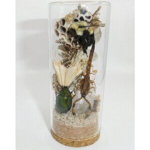 Scorpion Green Chafer Beetle Wasp Nest Bee & Crystal Oddity Jar taxidermy